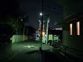 hibarigaoka kitaguchi shotengai view ひばりが丘北口商店街散策散歩 131204