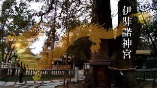 【イザナギ大神の聖域と夫婦大楠】あなたは見える？伊弉諾神宮(兵庫)オンライン参拝2022年版