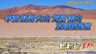 【智利行EP4】 海拔4830米高原，没有高反！在《来自星星的你》提到的观星胜地仰望壮丽银河系