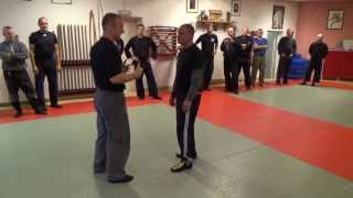 Bujinkan meets Systema seminar highlights