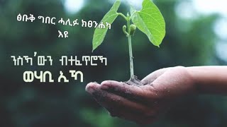 ምዕራፍ ዩቱብ (ሚሊ) ፅቡቅ ግበር ሓሊፊ ድማ ትፀንሐካ እያ