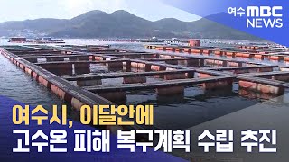 여수시, 이달안에 고수온 피해 복구계획 수립 추진 (241114목/뉴스데스크)