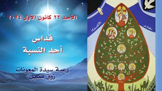 قداس أحد النسبة - 22.12.2024 ابتداء من 9 صباحا - كنيسة سيدة المعونات، زوق مكايل