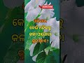 ଓଡ଼ିଶାର କେଉଁ ମନ୍ଦିରକୁ କଳା ପାଗୋଡ଼ା କହନ୍ତି 🤔 odiabarnamala a_ru_akha gkodisha shorts