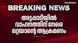 അട്ടപ്പാടിയിൽ വാഹനത്തിന് നേരെ ഒറ്റയാന്റെ ആക്രമണം | Attappadi | Wild Elephant | Attack