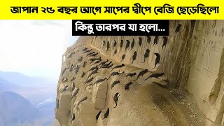 জাপান সাপের দ্বীপে ৩০ হাজার বেজি ছেড়েছিলো কিন্তু ২৫ বছর পর…