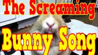 The Screaming Bunny Song