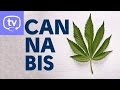 ¿Está consumiendo cannabis?