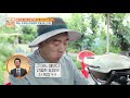 직접 낚은 참돔 회 파티 mbn 210711 방송