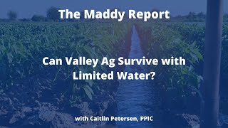 The Maddy Report: Can Valley Ag Survive with Limited Water?