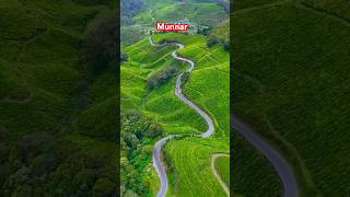 Kerala Munnar | The place with the best weather in Kerala | Munnar Tea Plantations