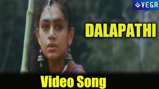 Dalapathi Movie ||Video Song || Sundari Nuvve