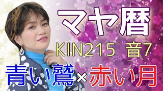 「AorBを選択できない人の心理はコレです」マヤ暦【KIN215】青い鷲 赤い月 音7 開運ポイント