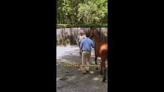 🎬🐴 Episode 3 of The Horse Tamer Series: Chester \u0026 Kasper