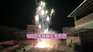 100个水母烟花齐升空，会是什么效果？#水母 #水母烟花 #过年