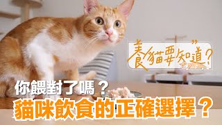 【養貓要知道EP2】貓咪怎麼吃才對？乾飼料、貓罐頭、鮮食、生食，怎麼選？