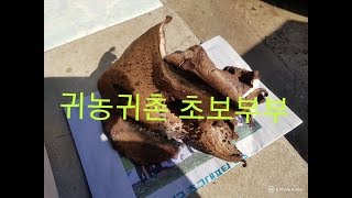 어망을 던졌는데 이런 일이? ( 귀농귀촌 초보부부 48)