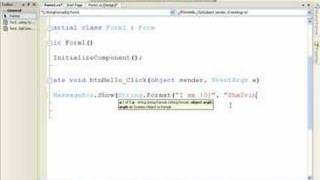 C# String.Format - Shalvin