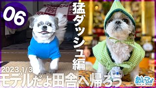 【2023.1/3オバマ】モデルだよ田舎へ帰ろうシーズー犬てんぽvol.6【猛ダッシュ編】