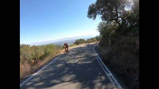 Montebello Downhill from Ridge Vineyard