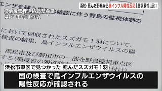 死んだ野鳥から鳥インフル陽性反応「高病原性」か遺伝子検査へ　養鶏場などに消毒など徹底呼びかけ＝浜松市東区