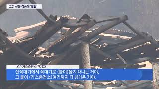 고성 산불로 축구장 56개 면적 잿더미, 1300명 긴급대피