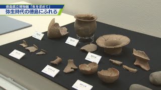 「朱を求めて」弥生時代の徳島にふれる【テレビトクシマ】