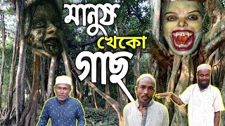 মানুষ খেকো গাছ || আফ্রিকা দেশে নয় বগুড়া বাংলাদেশে মানুষ খেকো গাছ || বাস্তব ঘটনা