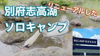 運営変わった志高湖キャンプ場でソロキャンプ　RECAMP別府志高湖