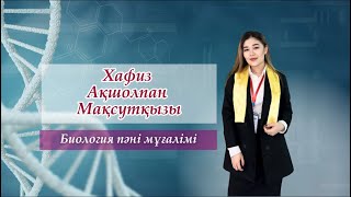 КОНКУРСҚА ВИДЕОПОРТФОЛИО. ЖАС МАМАНҒА ТАНЫСТЫРУ