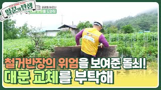 철거반장의 위엄을 보여준 돌쇠😎 대문 교체를 부탁해! [일꾼의 탄생] | KBS 231004 방송