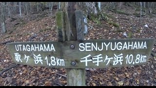 (mikayama00)日光　社山　中禅寺湖湖畔　半月山峠分岐から阿世潟までの道の様子