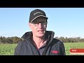 Exirel® Insecticide in Canola - Pest management practice by Geoff Cornwell