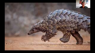 Naturetrek Roadshow: Ghana's Pangolins and Picathartes