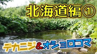 北の渓から×ぬし釣りコラボ！デカニジとオショロコマを狙う！【北海道渓流釣り①】~Bait＆Lure Fishing~