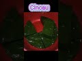 cincau hijau perdu lebih mantap || #short #shortsvideo #shortsfund