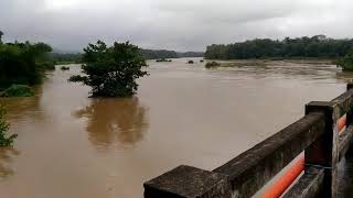 കാളിയകാവ്‌,  പൂടൂർ -മങ്കര റോഡ്, പാലക്കാട്‌, ഭാരതപ്പുഴ  2018 പ്രളയത്തിന് തൊട്ട് മുൻപ്