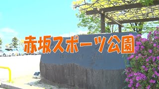 赤坂スポーツ公園