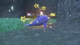 Pokémon Scarlet/Violet 色違波普海豚  Shiny Finizen ナミイルカ 寶可夢朱/紫