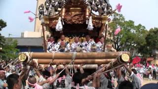 平成22年 神戸市東灘区本住吉神社例大祭本宮13庄内宮入 野寄1