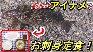 初めてのフカセ釣りでアイナメが釣れました