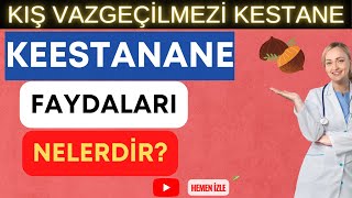 KESTANENİN FAYDALARI VE ZARARLARI NELERDİR? #kestane