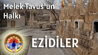 EZİDİLER | MELEK TAVUS'UN HALKI