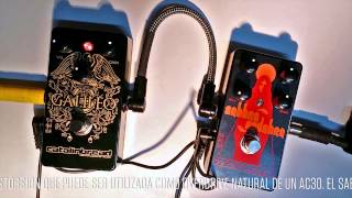 Catalinbread Sabbra Cadabra / Galileo - Pepismusic