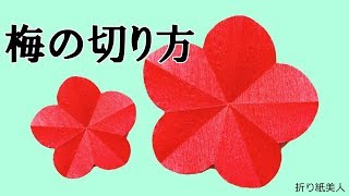 【折り紙】梅の花の切り方/ origami ume