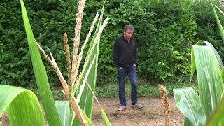 Paul François, fer de lance du combat contre Monsanto