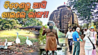 ଆସନ୍ତୁ ଜାଣିବା ଗୁଆଝର ର ପୌରାଣିକ ରହସ୍ୟ..ଦୀର୍ଘ 20 ବର୍ଷ ଧରି ମଠ ରେ ବାବା କରୁଛନ୍ତି ତପସ୍ୟା..ancient temple..