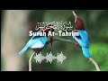 Surah At-Tahrim (Banning , Prohibition) Full | By Sheikh Abdur-Rahman As-Sudais | 66-سورۃ التحریم