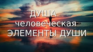 Душа человеческая. Что ты не знаешь о своей душе Н.Е. Пестов