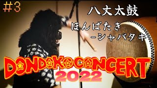 【DONDOKO CONCERT 2022】八丈太鼓　ほんばたき～シャバタキ Hachijo Taiko Honbataki-Syabataki【mta/松永潤平】八丈太鼓どんど鼓